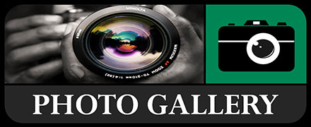 Media Gallery Media Gallery